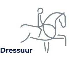 dressuur