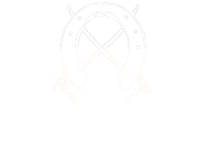 logo-mrv-banner